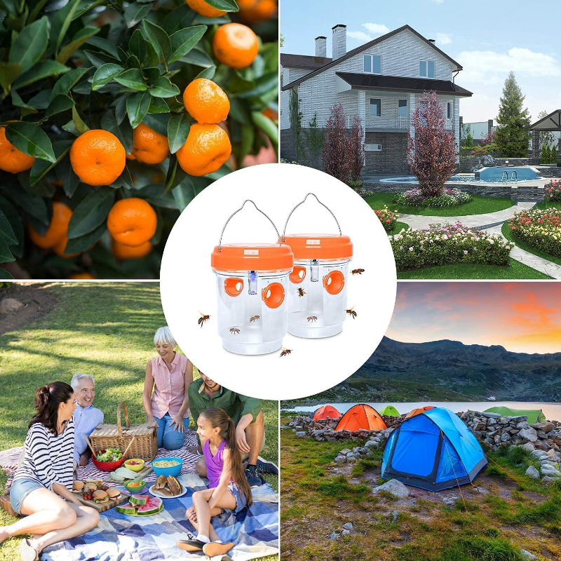 Pułapki na owady słoneczne, wi – Bug Catching Kit recenzja i cena