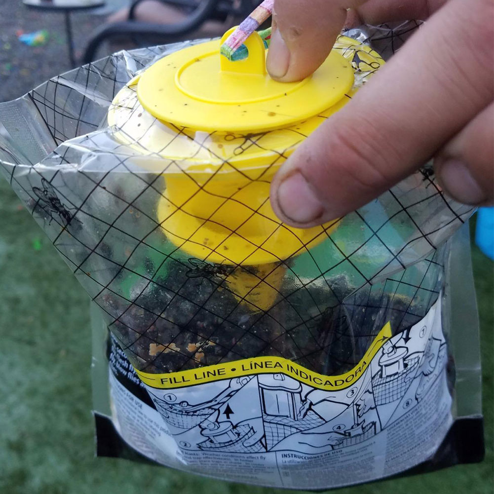 Wisząca pułapka na muchy z prz – Bug Catching Kit recenzja i cena